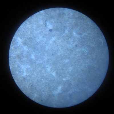 Metallography 400x
