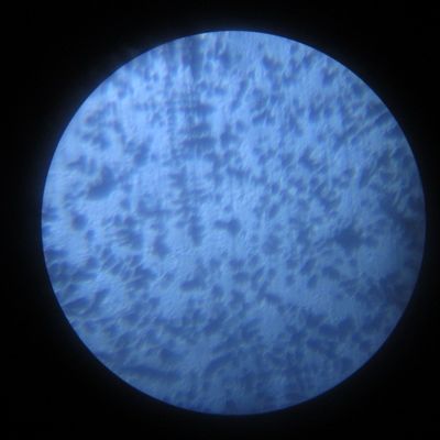 Microstructure 100x