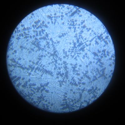 Microstructure 100×